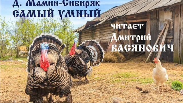 Д. Мамин-Сибиряк. Самый умный. Читает Дмитрий Васянович
