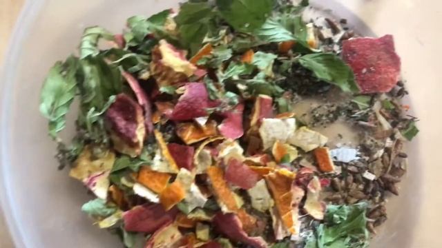 ГОТОВИМ КОПОШИЛКУ СВОИМИ РУКАМИ ДЛЯ ВОЛНИСТОГО ПОПУГАЯ?/ ЛАКОМСТВО ДЛЯ ПЕРНАТЫХ смотреть онлайн