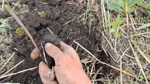 22 мая. пытаемся дисковать под подсолнечник / поломки / крах