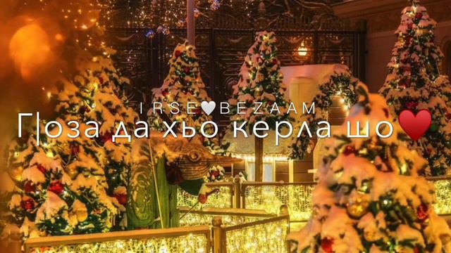 Марша да хьо керла шо/2023 смотреть онлайн