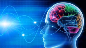 Дарио Салас Соммэр- "Гипсосознание, как метод достижения личного успеха". Аудиокнига. Полная версия