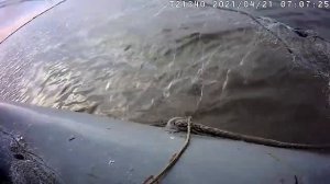 Выпустили рыбу из сетей на озере Споровском