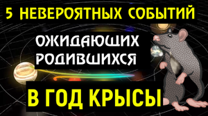 ?5 НЕВЕРОЯТНЫХ СОБЫТИЙ ОЖИДАЮТ РОДИВШИХСЯ В ГОД КРЫСЫ! ВЫ ОБ ЭТОМ И МЕЧТАТЬ НЕ МОГЛИ!