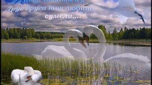 С Любавин Лебединая верность