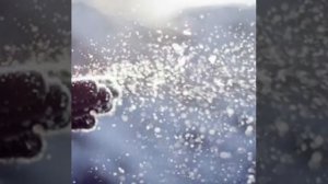 Первый снег , Рома Жуков