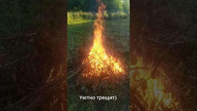 Зажгли огромный костер ранним утром чтобы сжечь сухие ветки