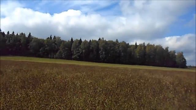 Vlog:Последний летний день на даче\Прощаемся... смотреть онлайн