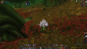 Как работает Темпоральный Манипулятор в WoW Classic?