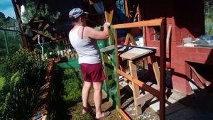 Бюджетная шпалера для актинидии своими руками