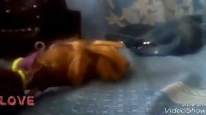 КЛИП ПЕСНИ // ГОЛОВА ЧТОБЫ ДУМАТЬ НОГИ ЧТОБЫ ХОДИТЬ // Маргарита Горбунова.