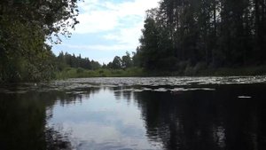 Сплав по реке Волчина Рогозное   Хвалово 26 07 2015