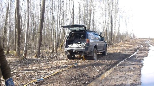 Пролесок на пол пути от деревни Лапино до деревни Старое  17 04 16 смотреть онлайн