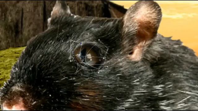 Simple matte painting with Photoshop смотреть онлайн