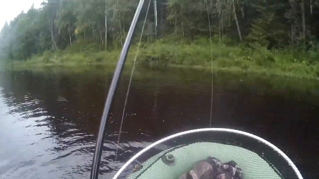 Отличный сплав по реке Кичменьга и классная рыбалка, море адреналина и незабываемых эмоций...0 смотреть онлайн