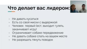 Как стать лидером для своей собаки