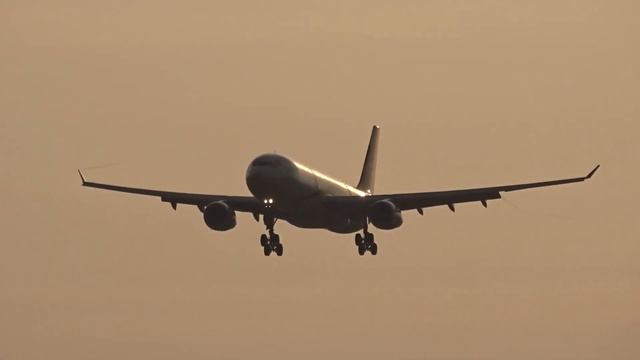 WOW! Awesome Arrivals At Brussels Airport (BRU) B777, B787, A350, B787 смотреть онлайн