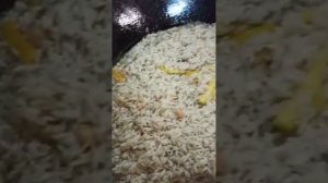 Работа с рисом в Плове, как правильно приготовить рис в Плове ?