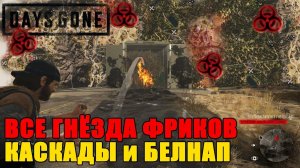 Все гнезда фриков КАСКАДЫ и БЕЛНАП_Где найти все гнезда фриков КАСКАДЫ и БЕЛНАП_Зараженные зоны!!!