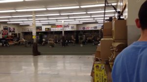 Indoor 3d archery at Presley's Outdoors on spring break 2013