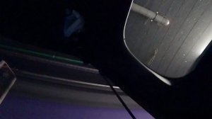 Renault Megane 4 потрясающий LED свет в задний ход @Ivan Skachkov