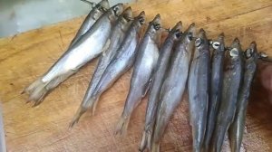 Шпроты копчёные, в масле, мой авторский рецепт.