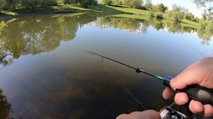 Мормышинг. Нижний Черневский пруд 26 мая 2024 года