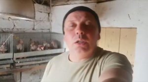 Минусы клеточного содержания кур. "Мое Подворье"