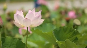 5 интересных фактов о природе🌲