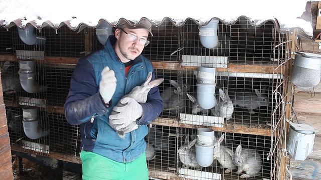 Плюсы и минусы кролиководства смотреть онлайн