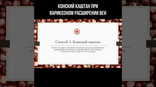 Конский каштан при варикозном расширении вен