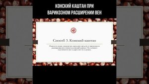 Конский каштан при варикозном расширении вен