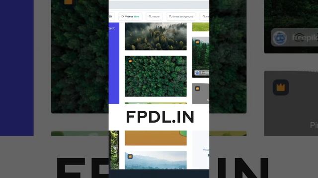 Как скачать премиум картинку с FreePik бесплатно?