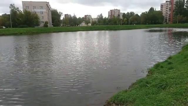 Стихия воды и её возможности в снятии эмоционального напряжения смотреть онлайн