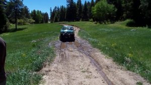 1989 ford bronco