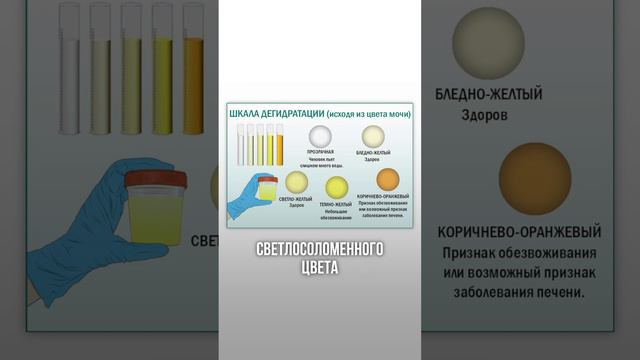 СКОЛЬКО нужно пить воды #вода #нормаводы #питание #николайпанасюк