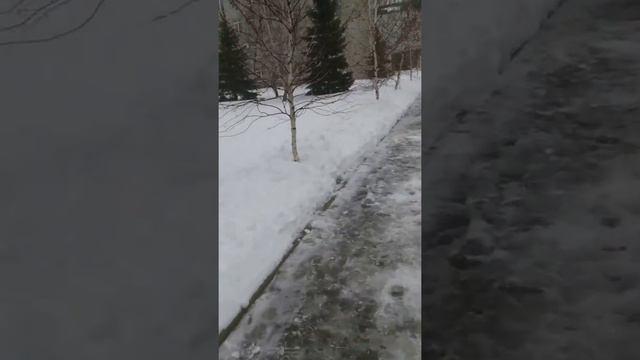 Dr. M M Abdul Halim surviving in Winter weather at LSMU, LPR, Lugansk. смотреть онлайн