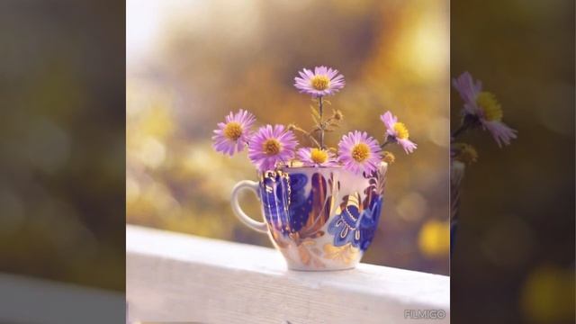 Самого доброго утра!!! ??? смотреть онлайн