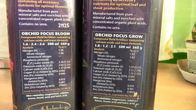 How to care for Oncidium Orchids and Intergenerics - watering, fertilizing, reblooming смотреть онлайн