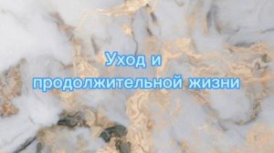 Мальтипу/ВСЕ О ПОРОДЕ /НОВЫЙ ФОРМАТ ВИДЕО ❤️??