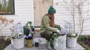 Planting Romantic Spring Flower Containers with Perennials on My Front Steps