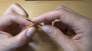 Собака Чихуахуа крючком ч 2