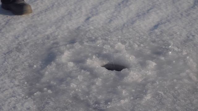 ЖАДНЫЕ КАМСКИЕ ЗИМНИЕ СУДАКИ | Чуланов с Вероникой в Казани в гостях у Андрея Ферафонтова смотреть онлайн