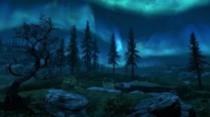 Skyrim - Ambience & Music - (Night)