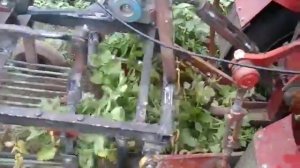 картофелекопалка грохотная с Дв