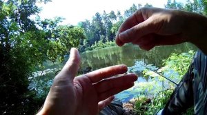 Рыбалка на поплавок Секреты ловли