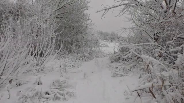 РАДИ ЭТОГО СТОИЛО ПЕРЕЕЗЖАТЬ В СЕЛО! смотреть онлайн