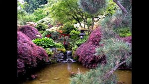 Японский сад Пейзажное искусство