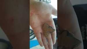 как сделать тачки из стандофф 2 в реальной жизни из картона ❤