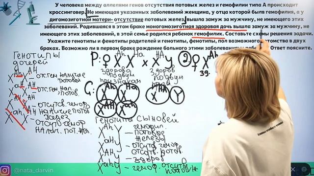 Задачи по генетике повышенного уровня.