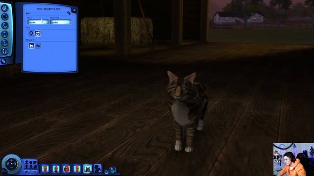 Симсики смотреть онлайн